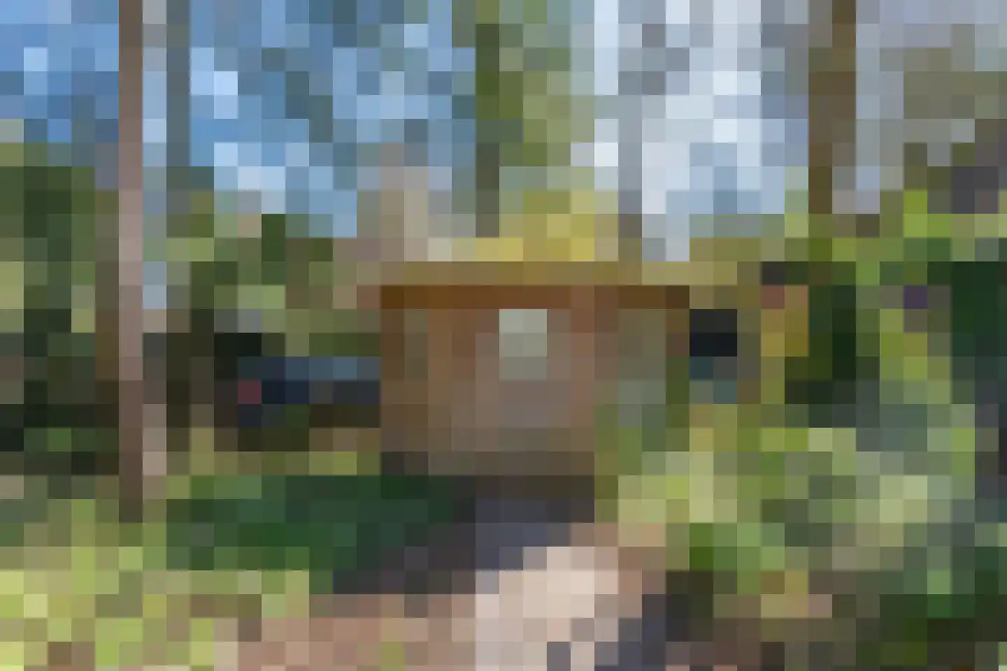 Helderse Duinen 9 Overloon thumbnail 11