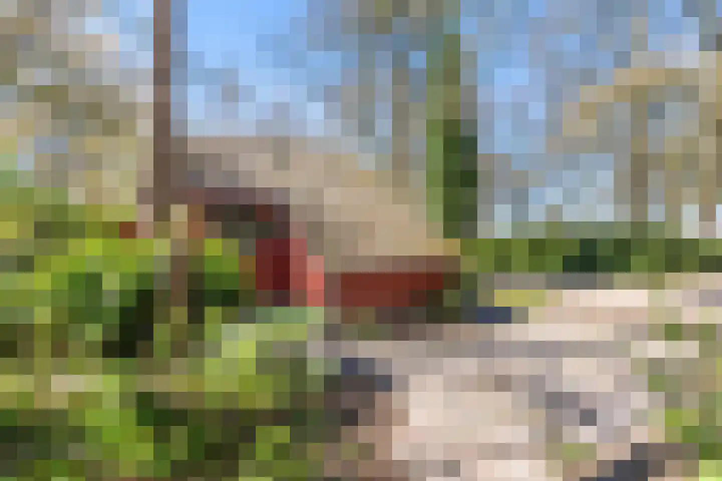 Helderse Duinen 9 Overloon thumbnail 12