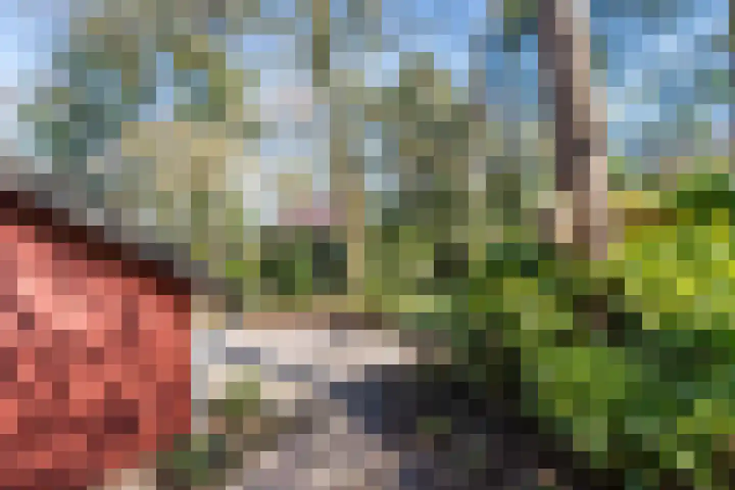 Helderse Duinen 9 Overloon thumbnail 15