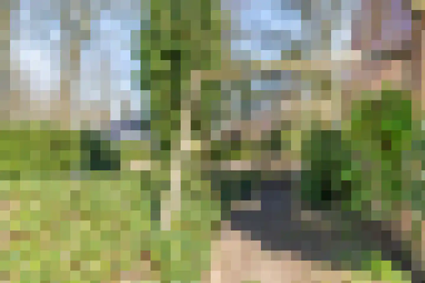 Helderse Duinen 9 Overloon thumbnail 8
