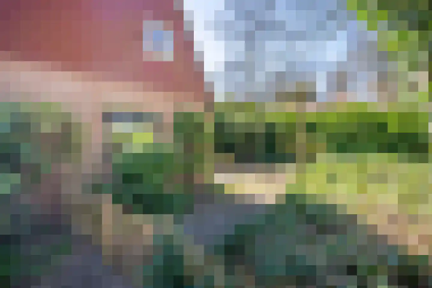 Helderse Duinen 9 Overloon thumbnail 9