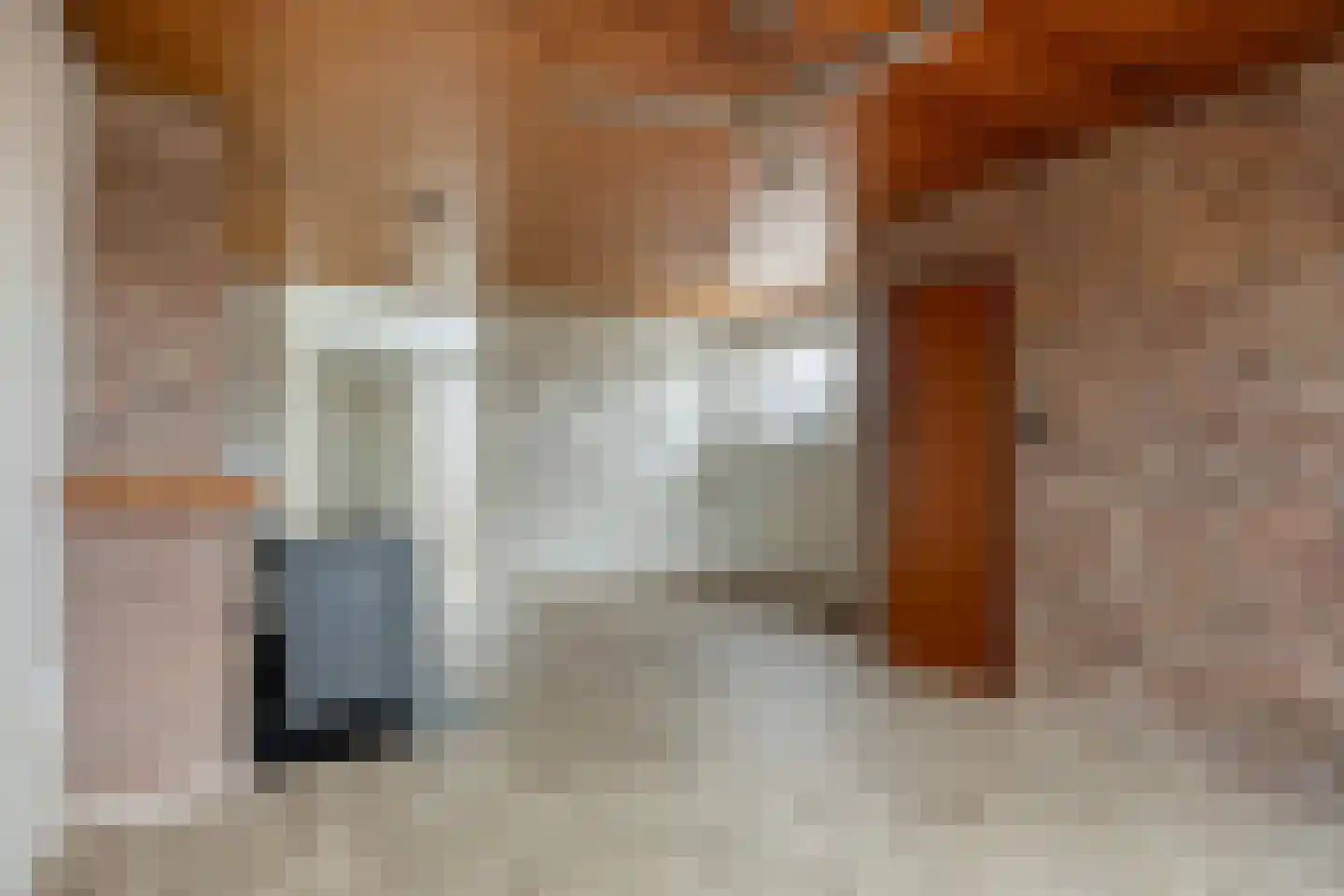 Heldersestraat 14 Hippolytushoef thumbnail 12