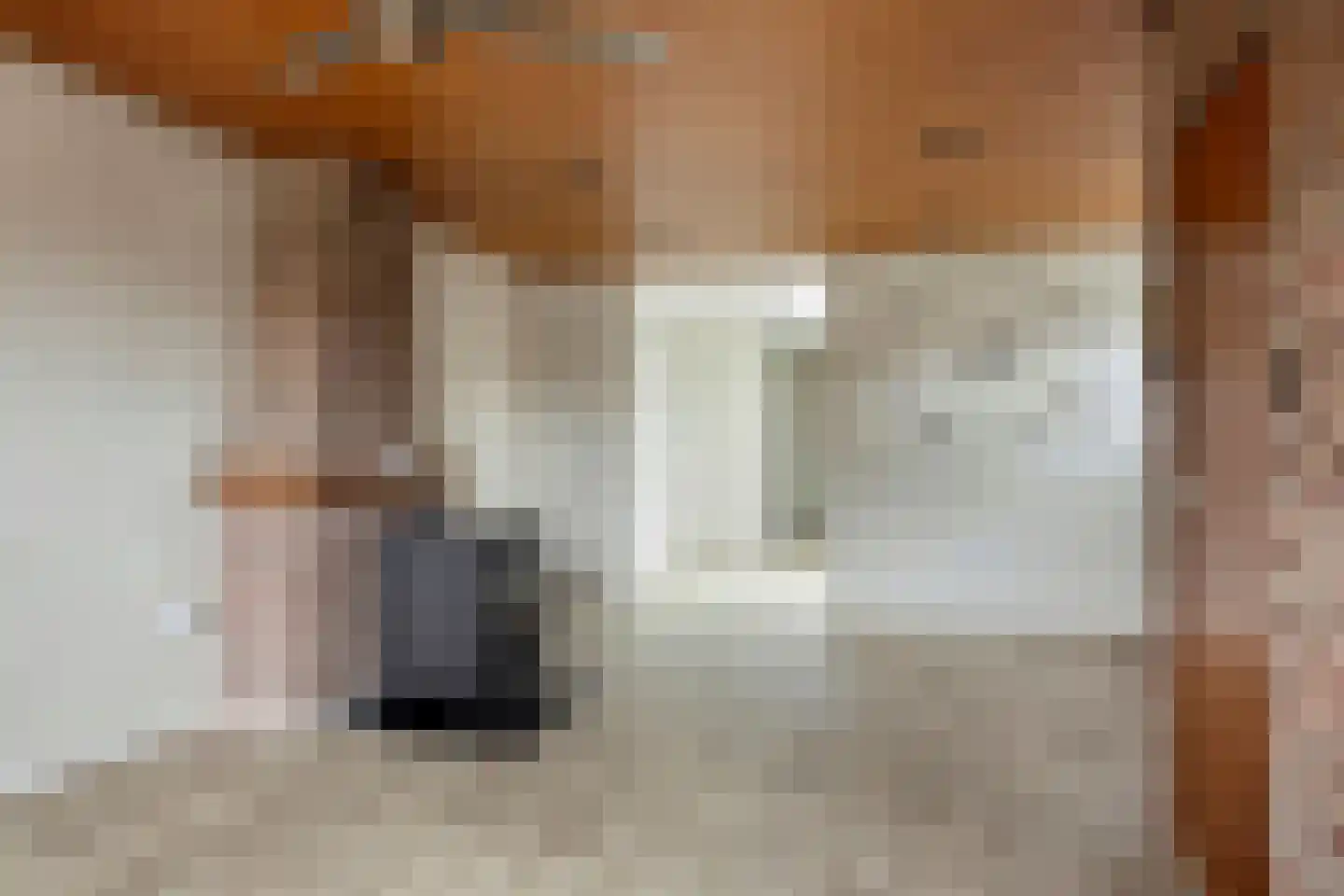 Heldersestraat 14 Hippolytushoef thumbnail 13