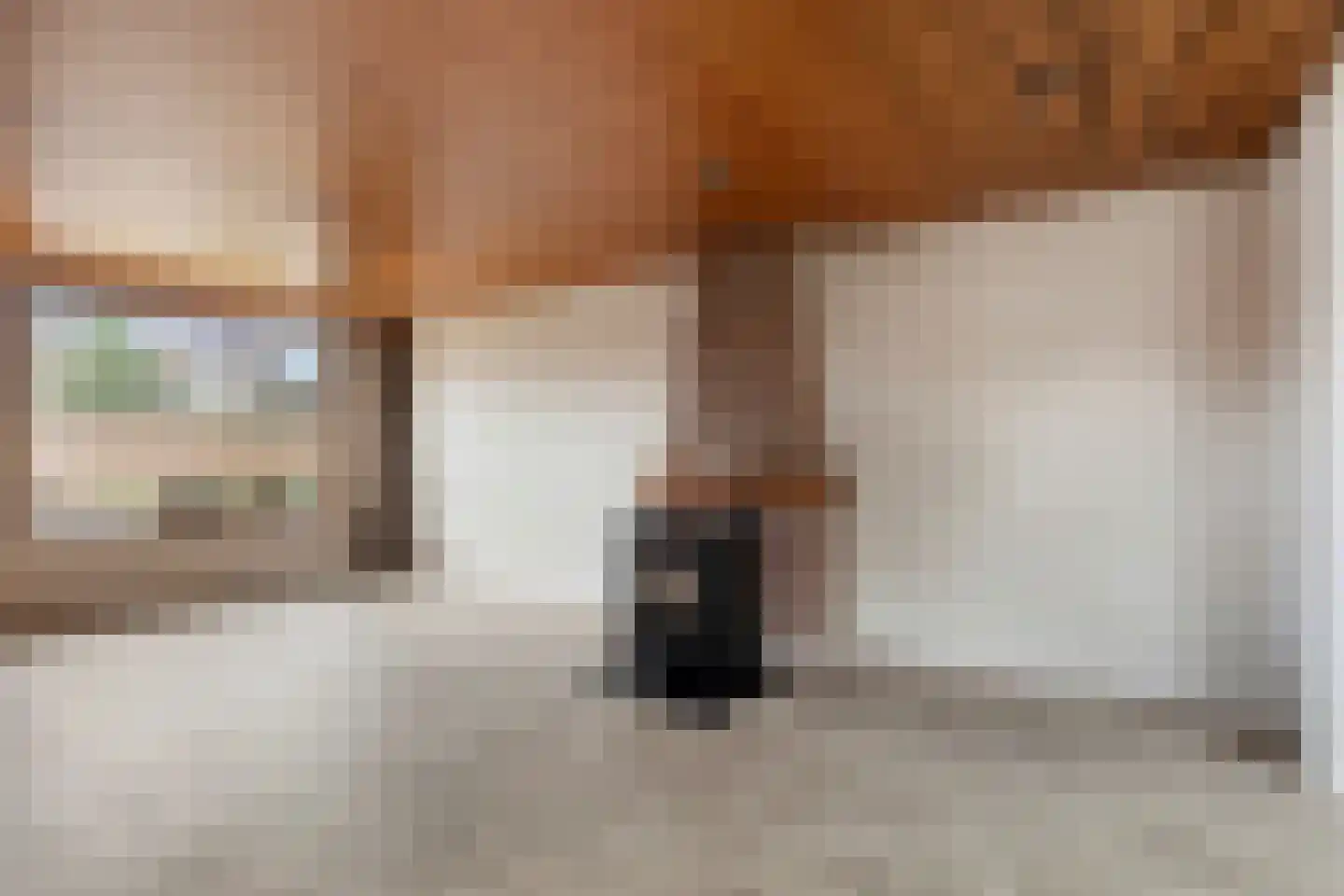 Heldersestraat 14 Hippolytushoef thumbnail 15