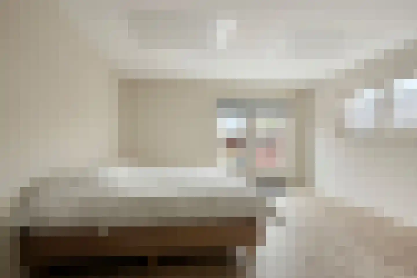 Heldersestraat 14 Hippolytushoef thumbnail 22