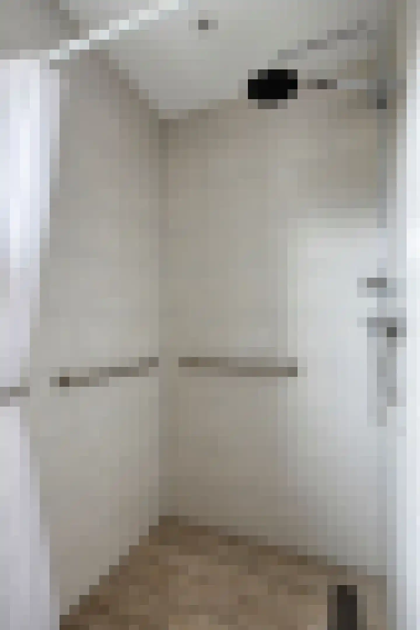 Heldersestraat 14 Hippolytushoef thumbnail 27