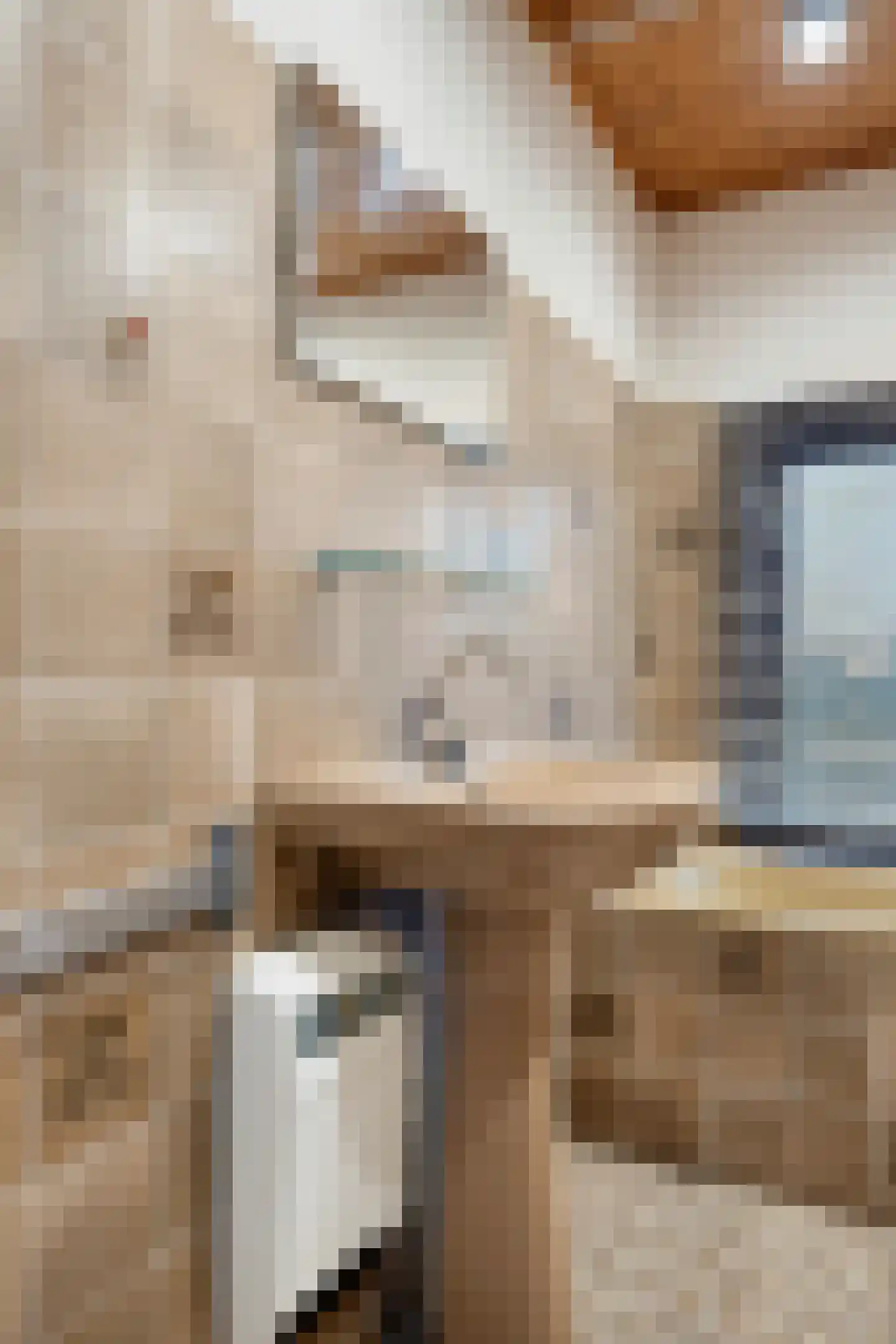 Heldersestraat 14 Hippolytushoef thumbnail 35