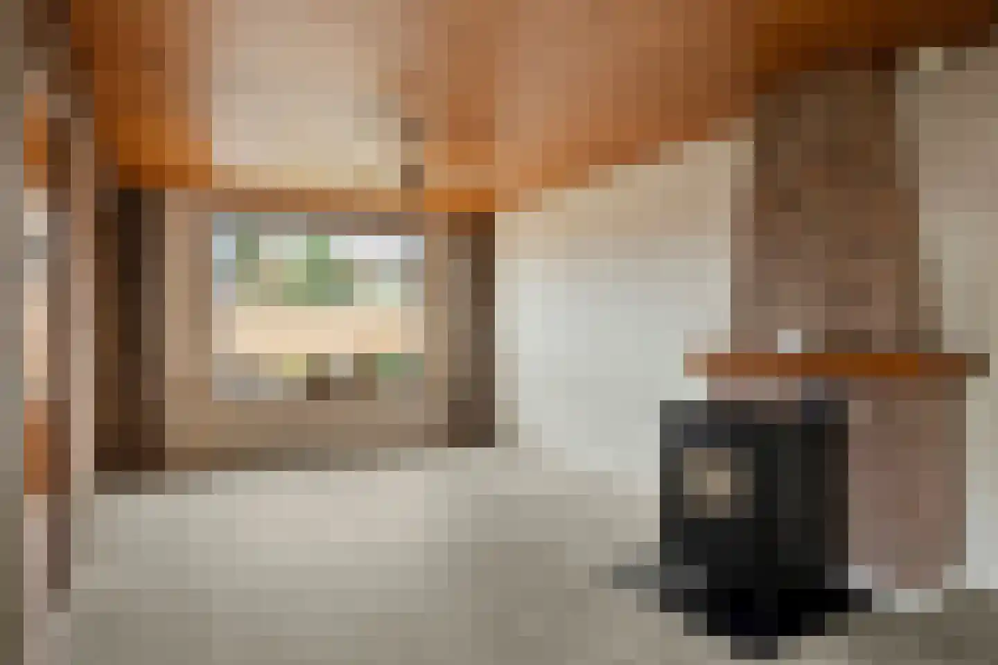 Heldersestraat 14 Hippolytushoef thumbnail 4