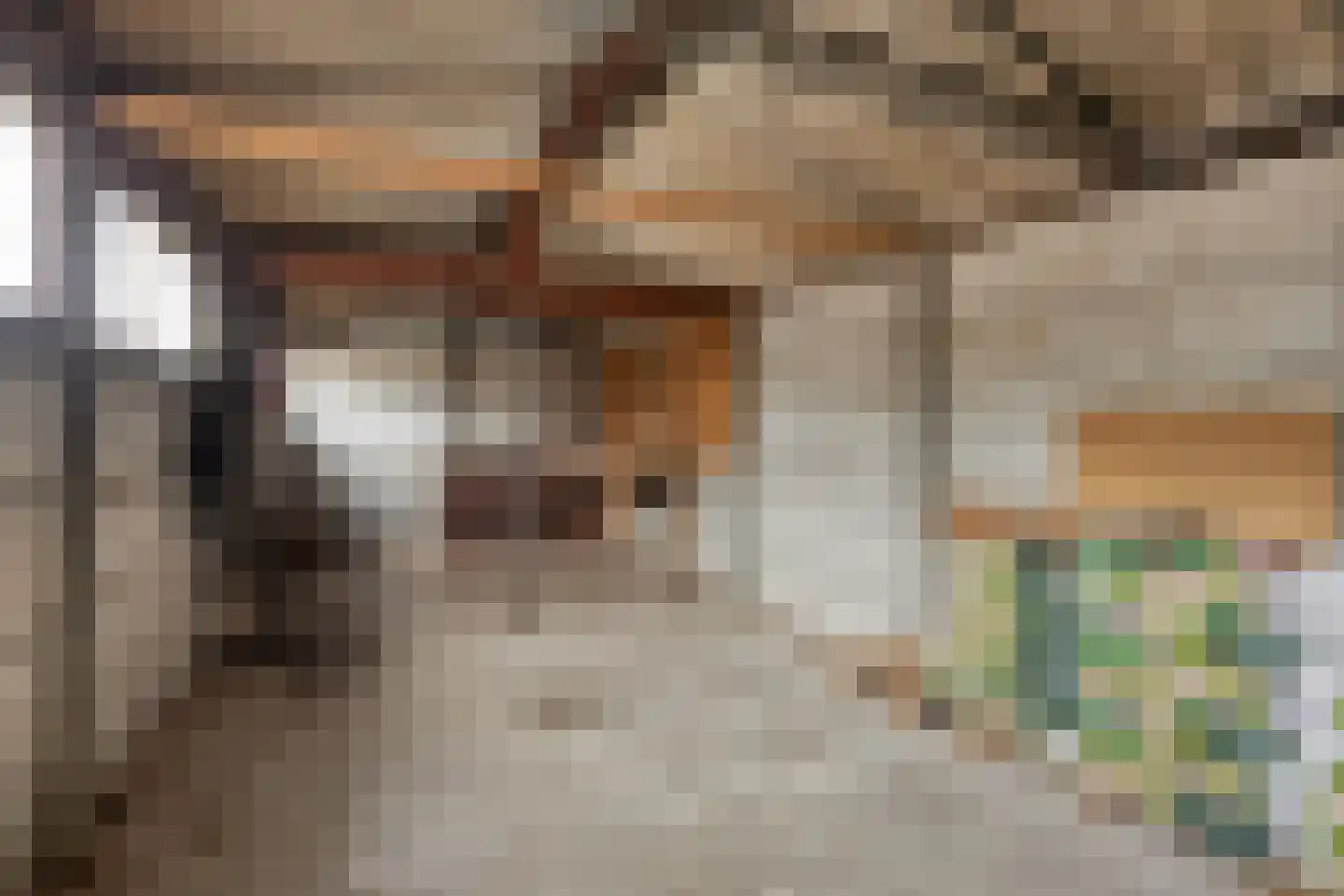 Heldersestraat 14 Hippolytushoef thumbnail 49