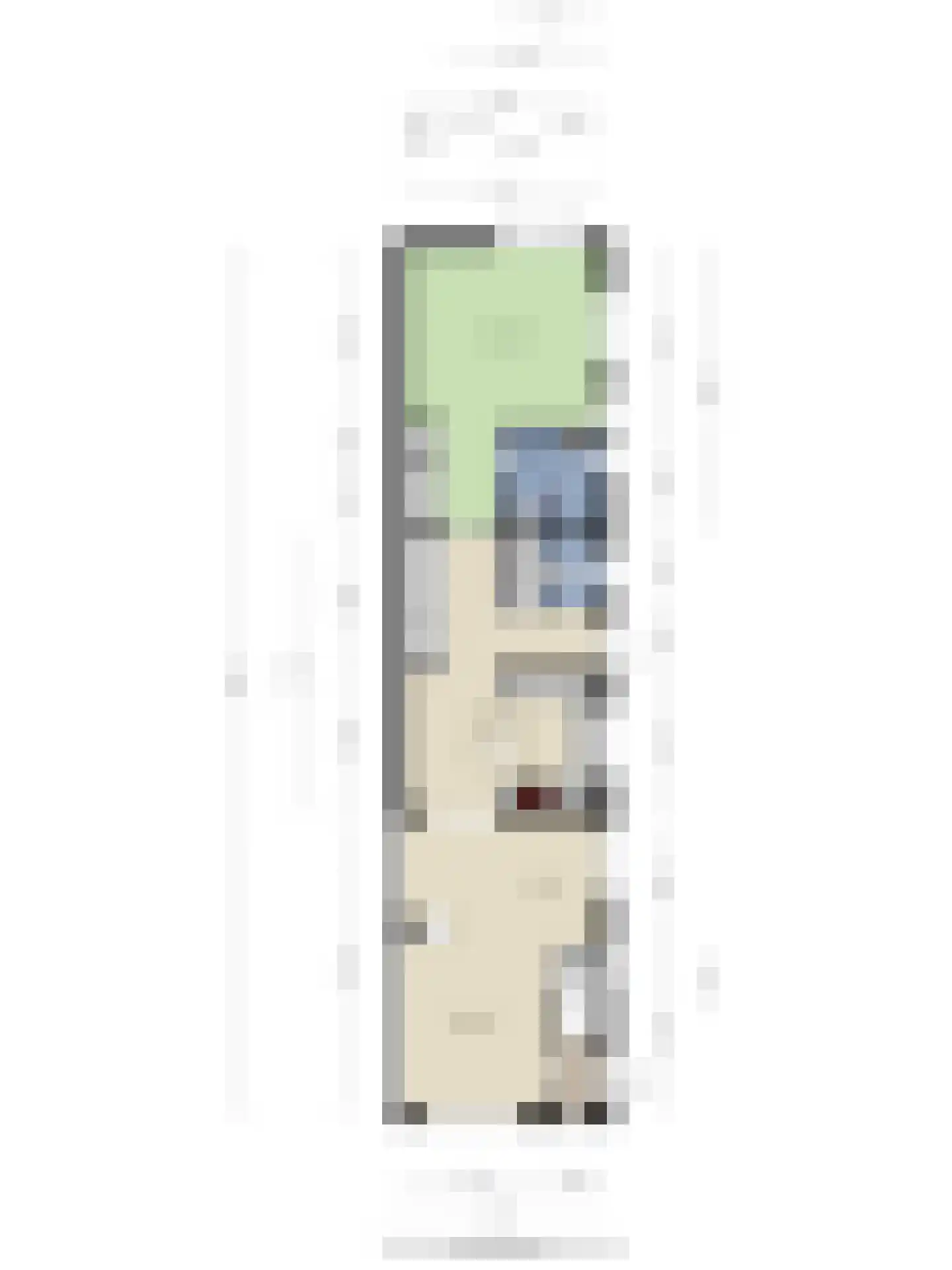 Heldersestraat 14 Hippolytushoef thumbnail 52
