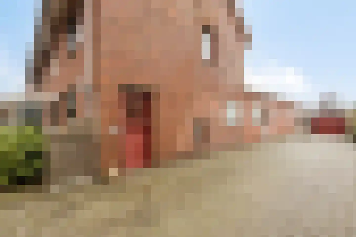 Heldersestraat 14 Hippolytushoef thumbnail 7