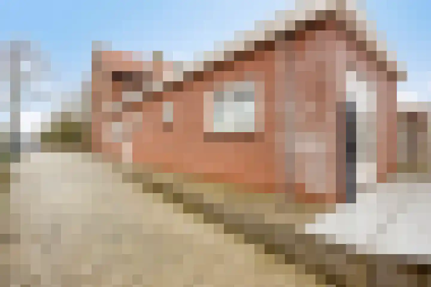 Heldersestraat 14 Hippolytushoef thumbnail 8
