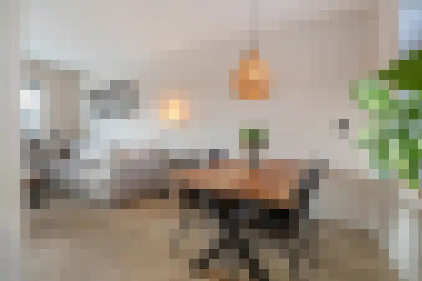 Heldersestraat 5 Hippolytushoef thumbnail 11