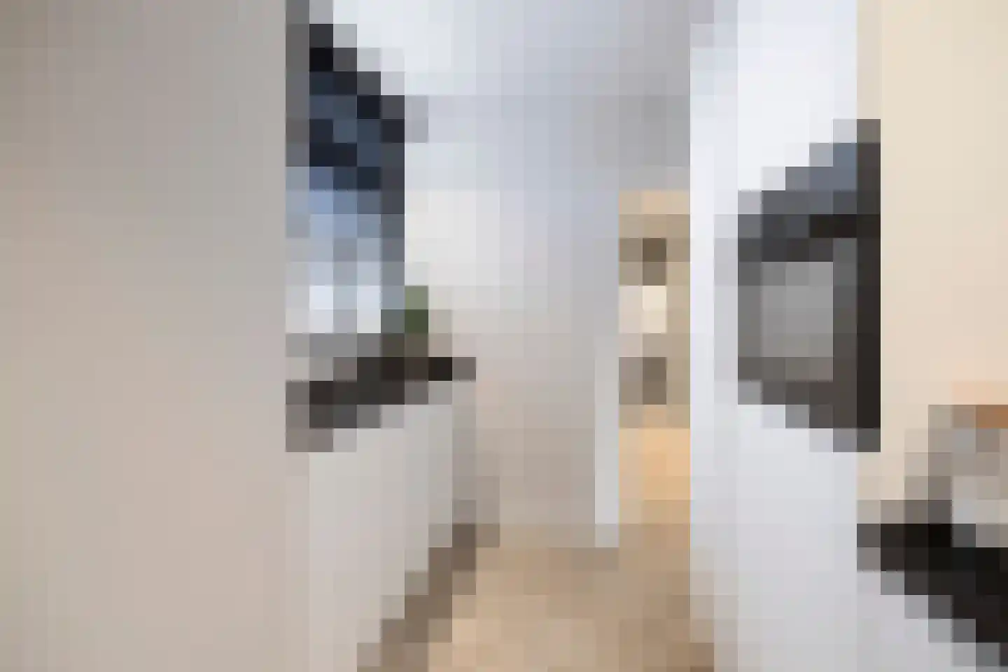 Heldersestraat 5 Hippolytushoef thumbnail 13