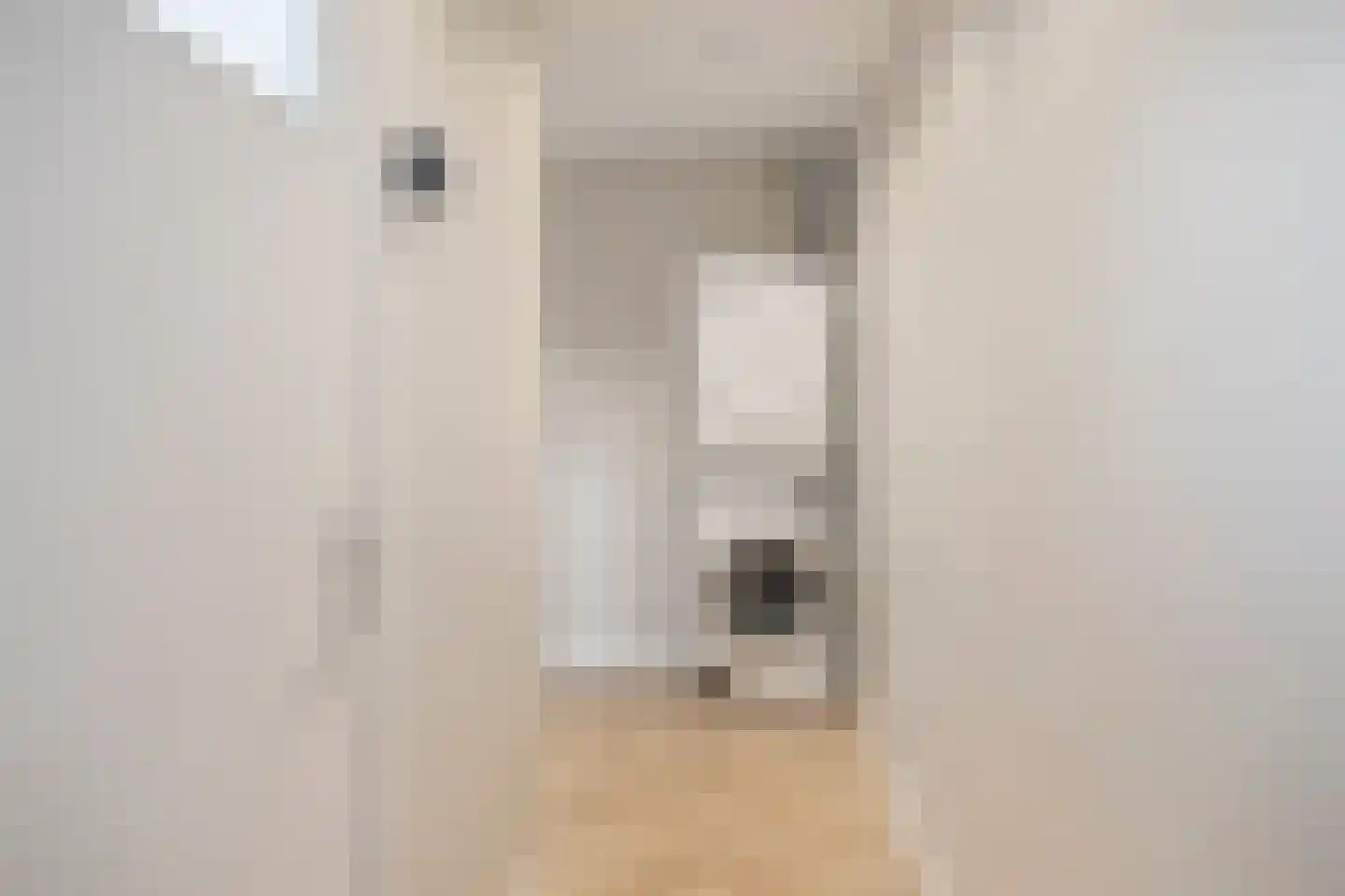 Heldersestraat 5 Hippolytushoef thumbnail 14