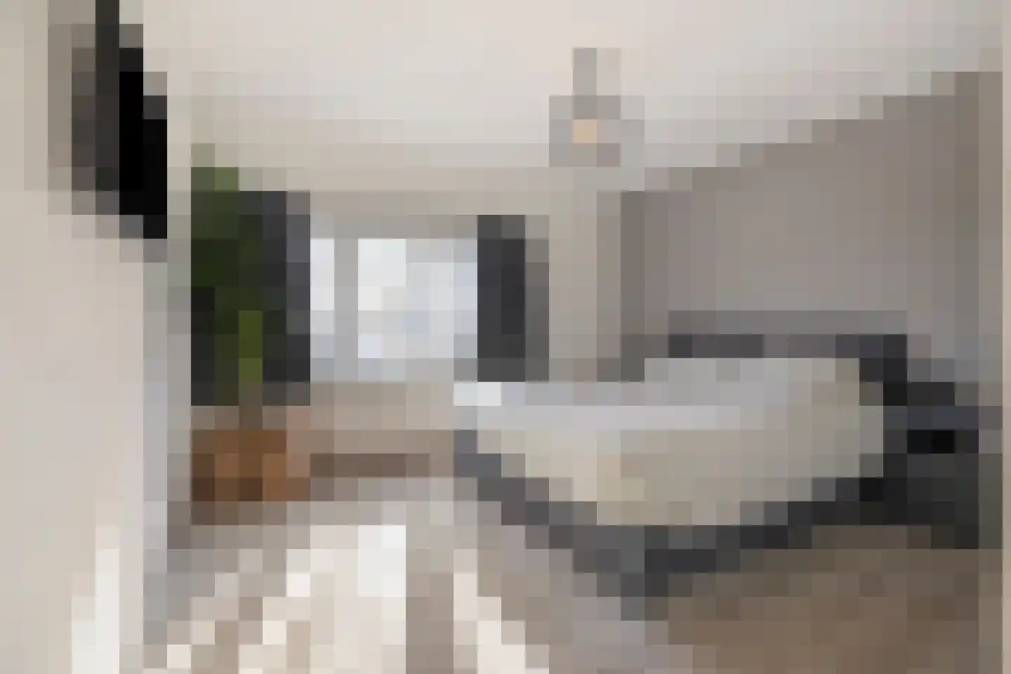 Heldersestraat 5 Hippolytushoef thumbnail 4