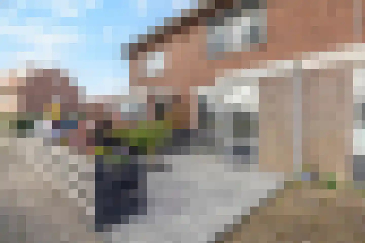 Heldersestraat 5 Hippolytushoef thumbnail 5