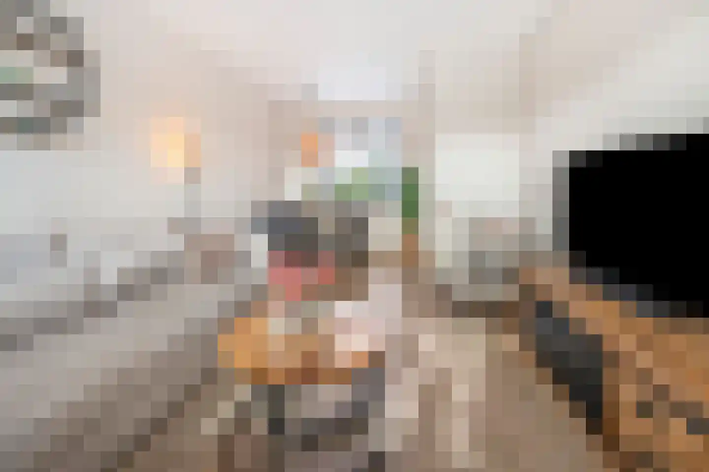 Heldersestraat 5 Hippolytushoef thumbnail 6