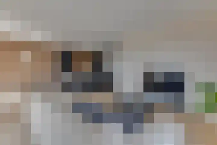 Helderseweg 15 C 3 Alkmaar thumbnail 11
