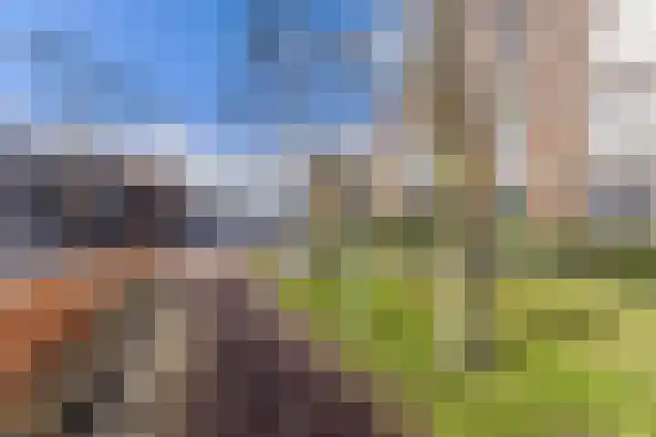 Helderseweg 15 D 4 Alkmaar thumbnail 23