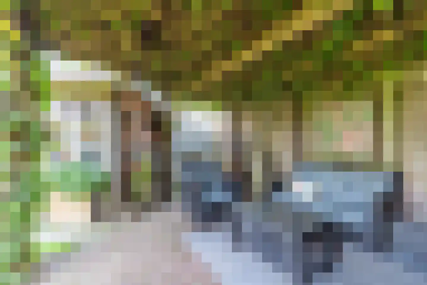 Helderseweg 17 Overloon thumbnail 17