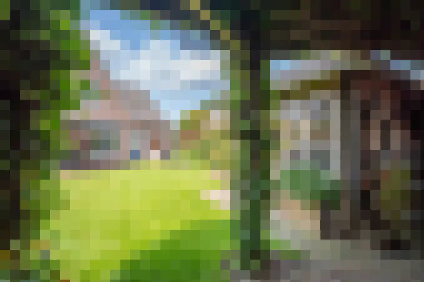 Helderseweg 17 Overloon thumbnail 18