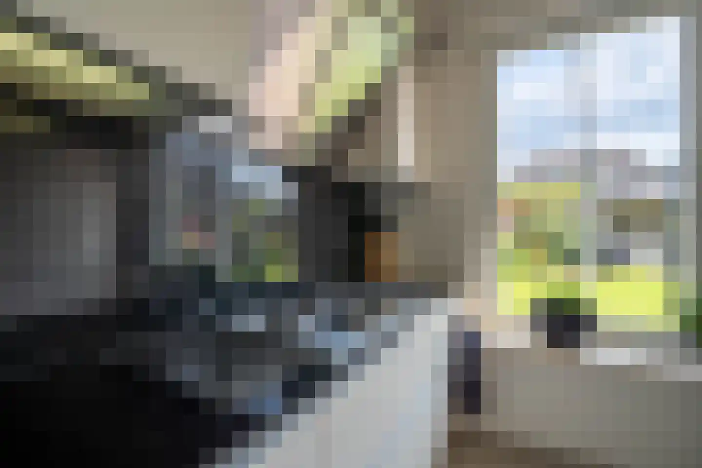 Helderseweg 17 Overloon thumbnail 23
