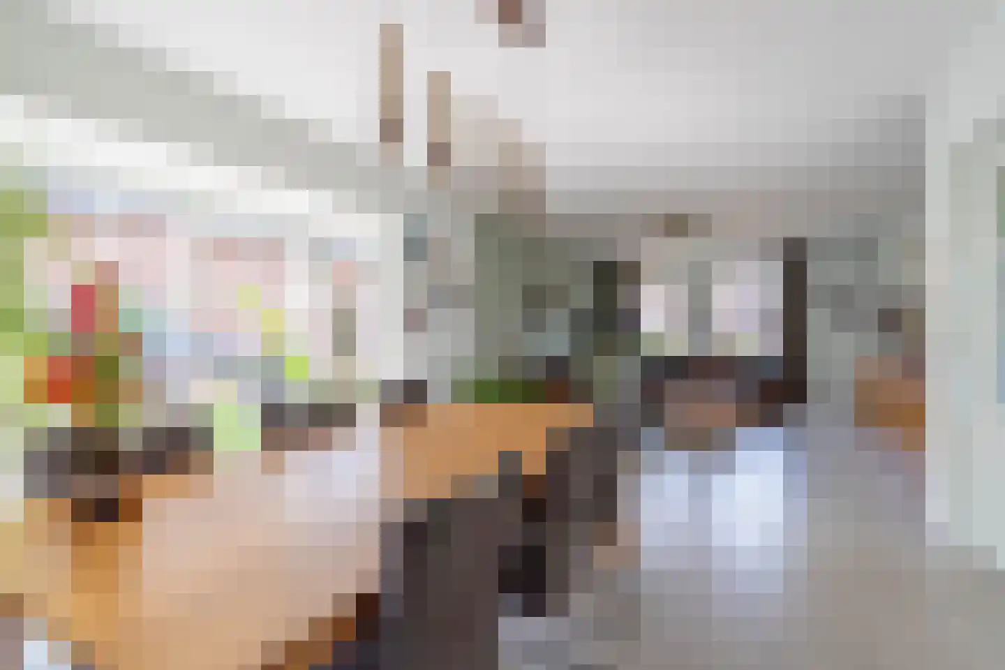 Helderseweg 17 Overloon thumbnail 27