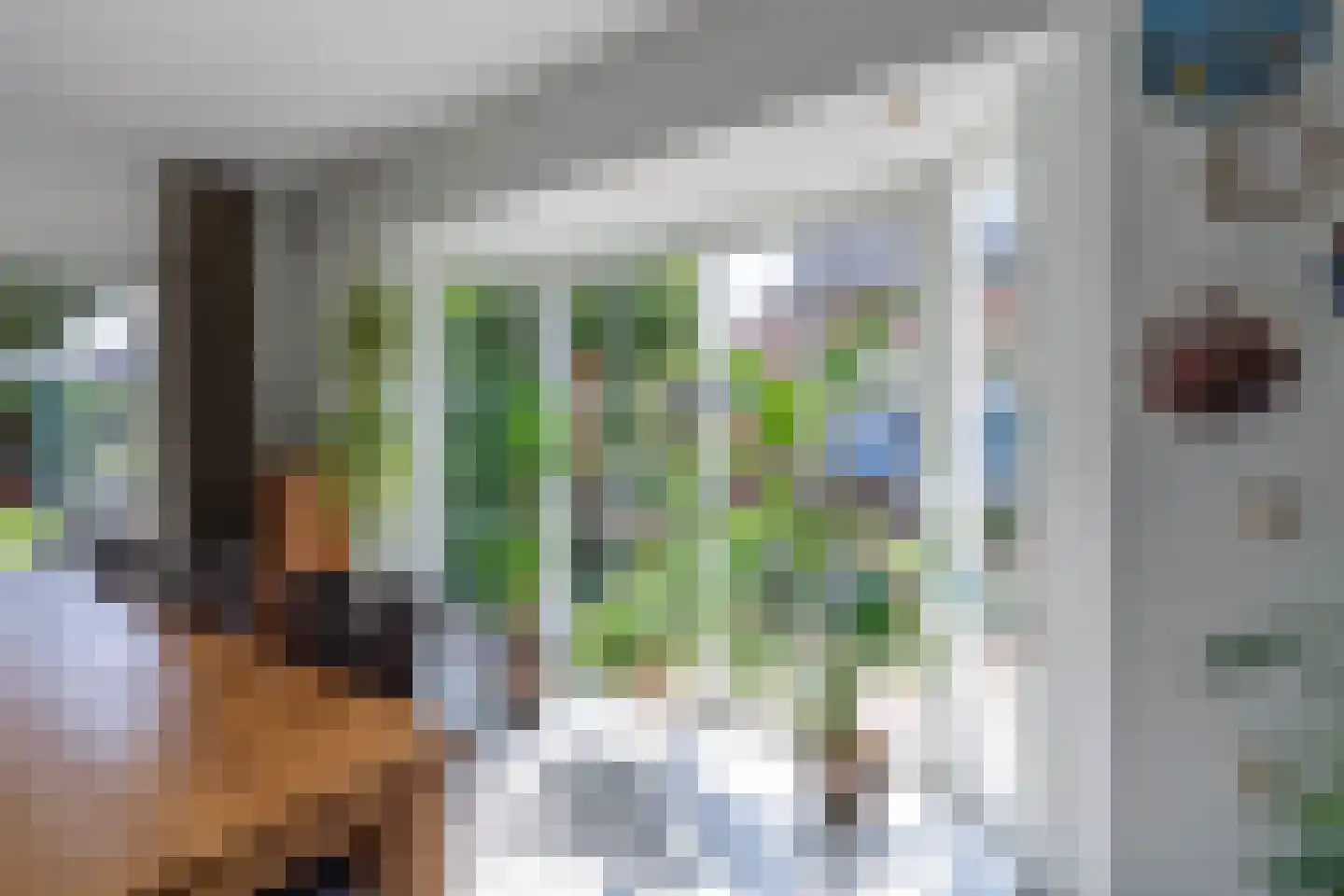 Helderseweg 17 Overloon thumbnail 31