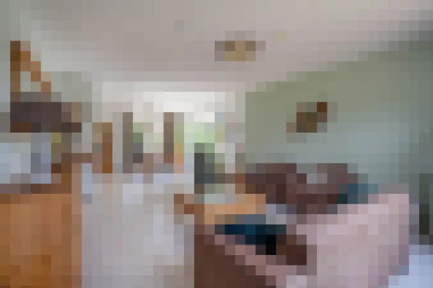 Helderseweg 17 Overloon thumbnail 32