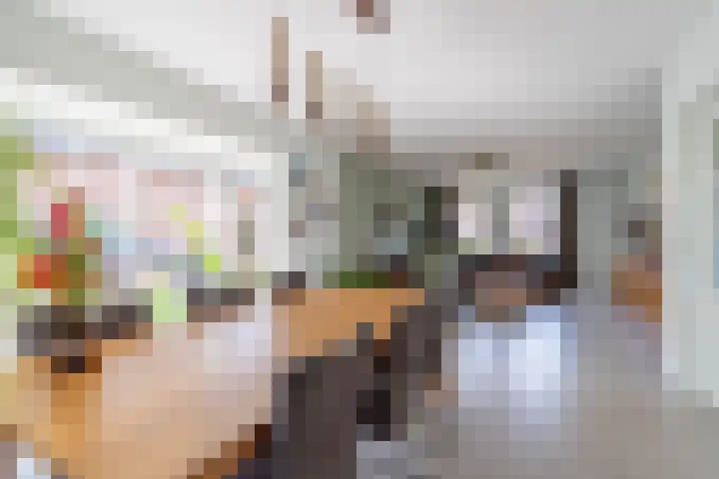 Helderseweg 17 Overloon thumbnail 4