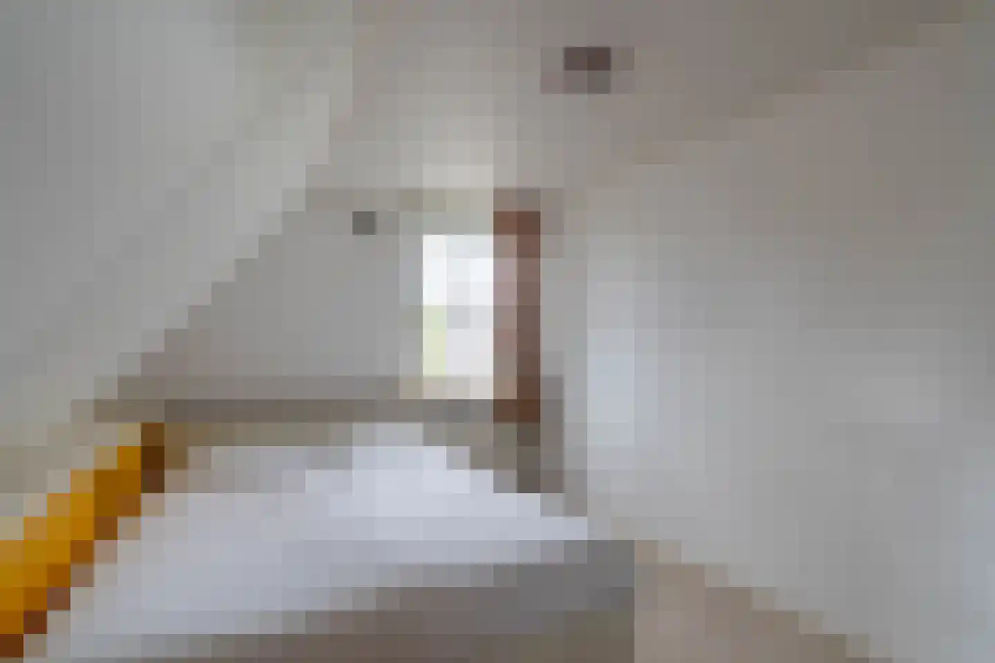Helderseweg 17 Overloon thumbnail 42