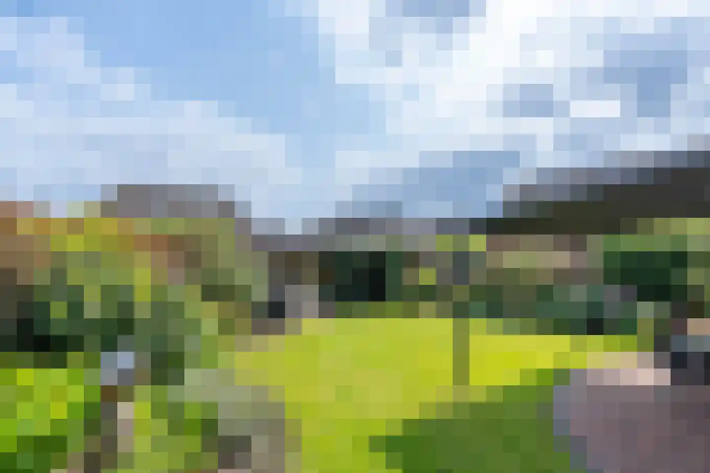 Helderseweg 17 Overloon thumbnail 5