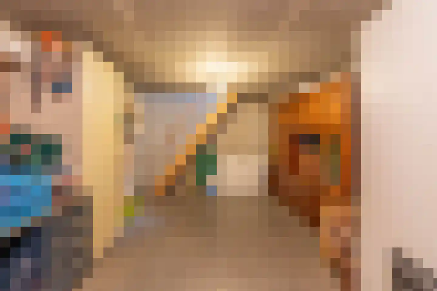 Helderseweg 17 Overloon thumbnail 60