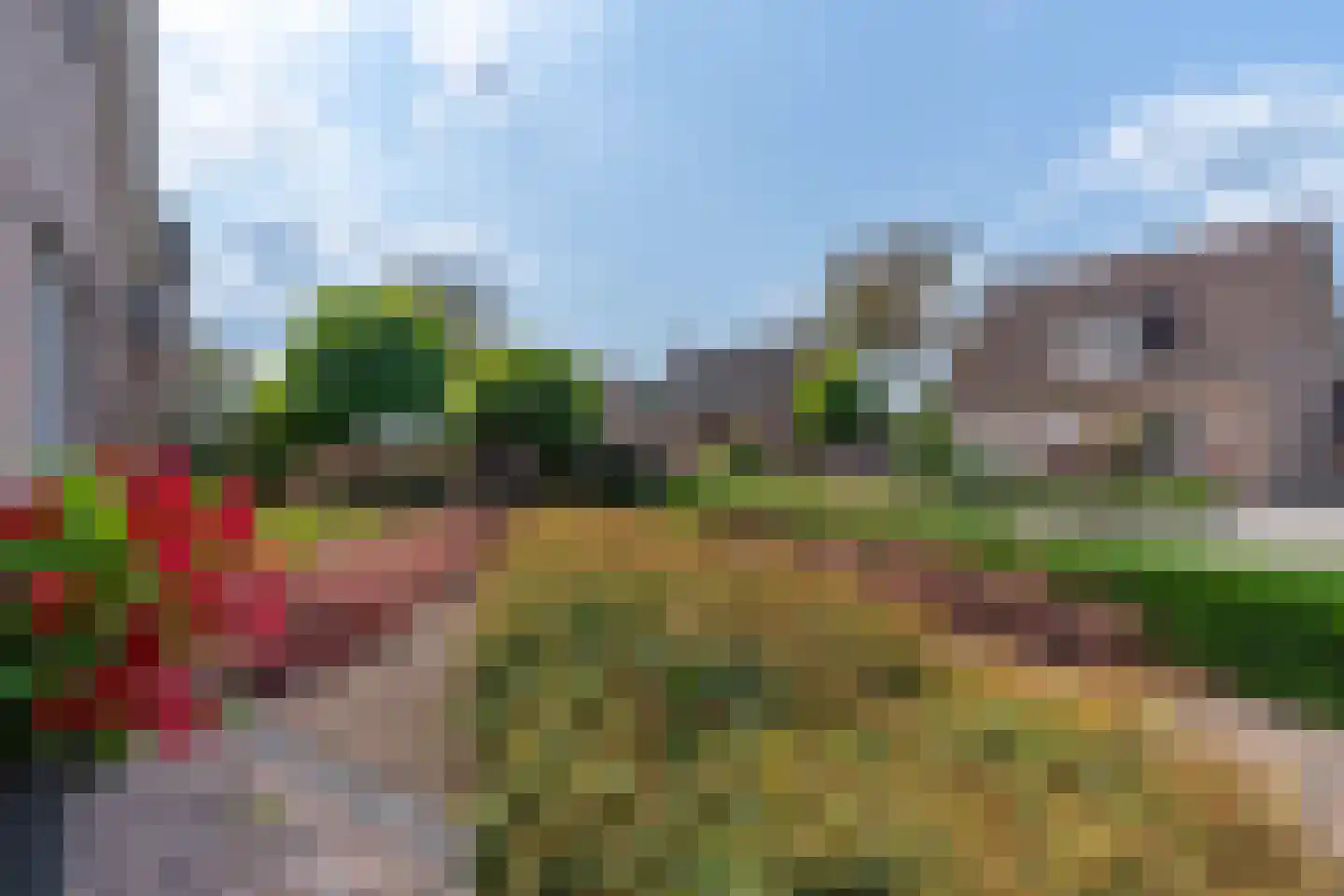 Helderseweg 17 Overloon thumbnail 8