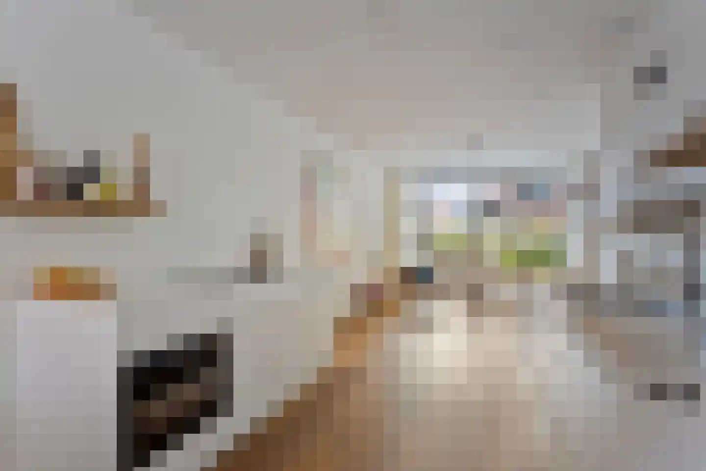 Helderseweg 5 B Alkmaar thumbnail 14