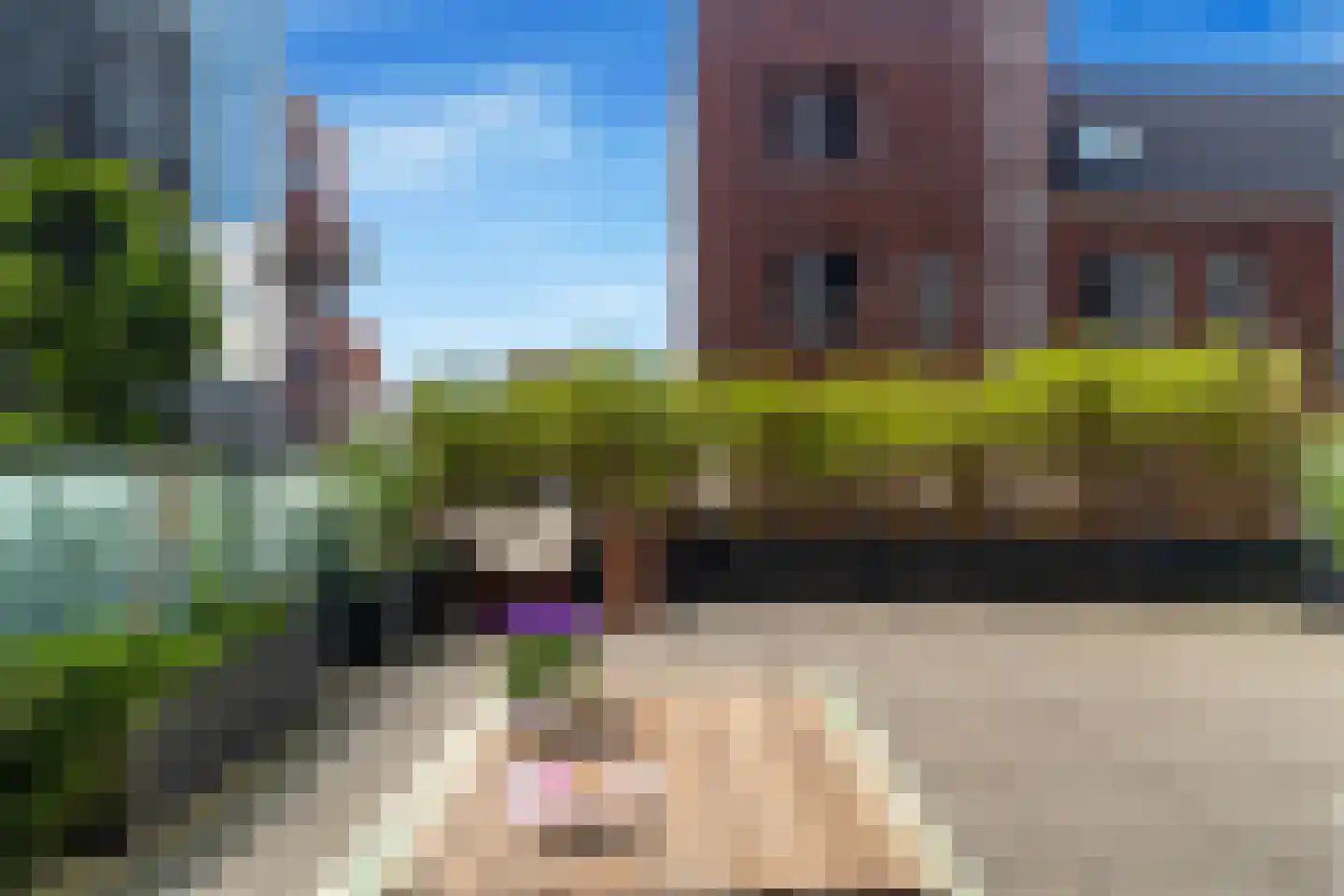 Helderseweg 5 B Alkmaar thumbnail 31