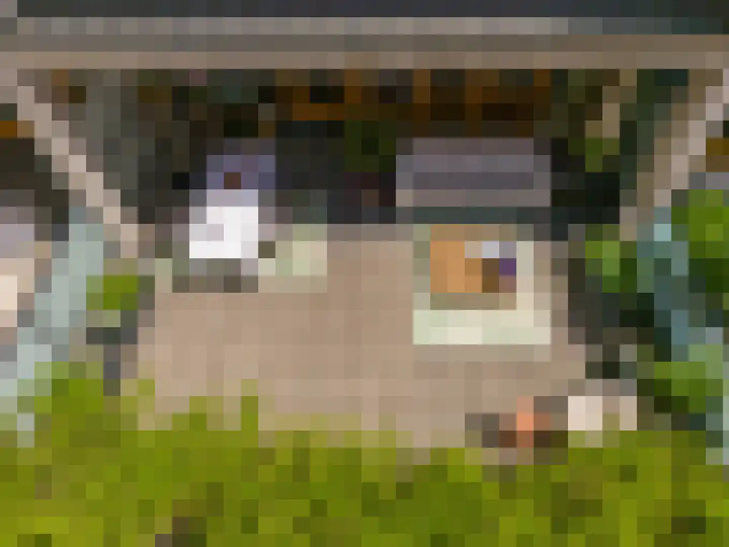 Helderseweg 5 B Alkmaar thumbnail 35