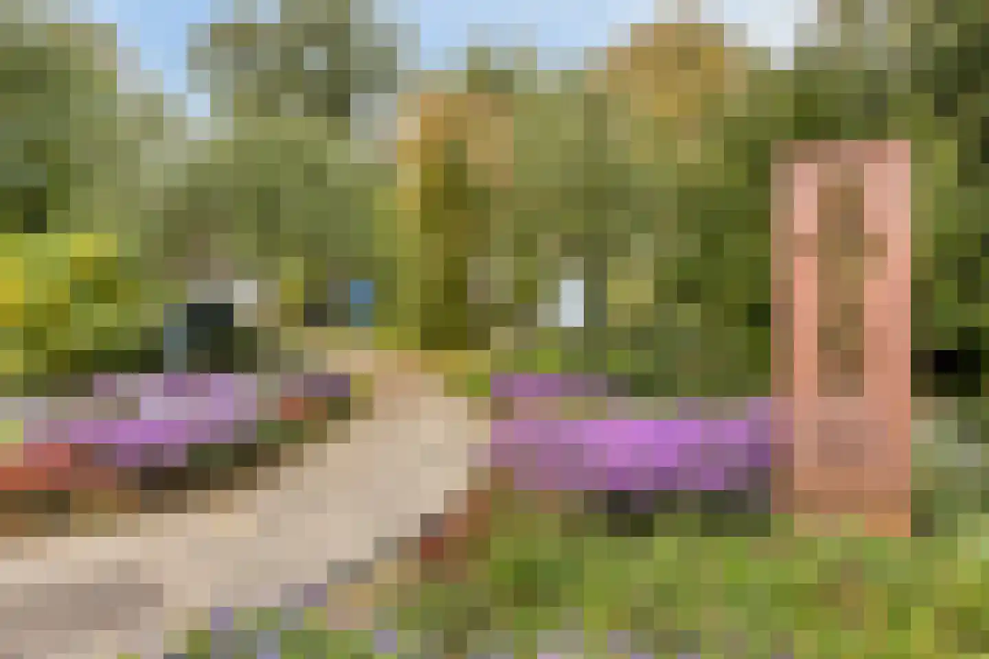 Helderseweg 5 B Alkmaar thumbnail 55
