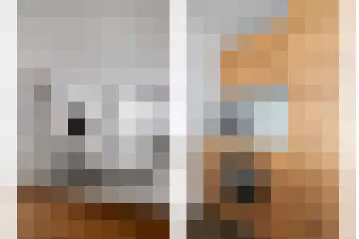 Helderseweg 9 D 1 Alkmaar thumbnail 13