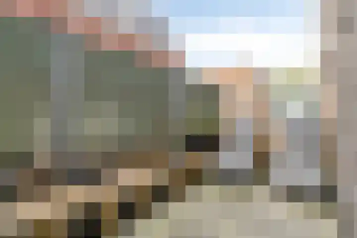 Helderseweg 9 D 1 Alkmaar thumbnail 19