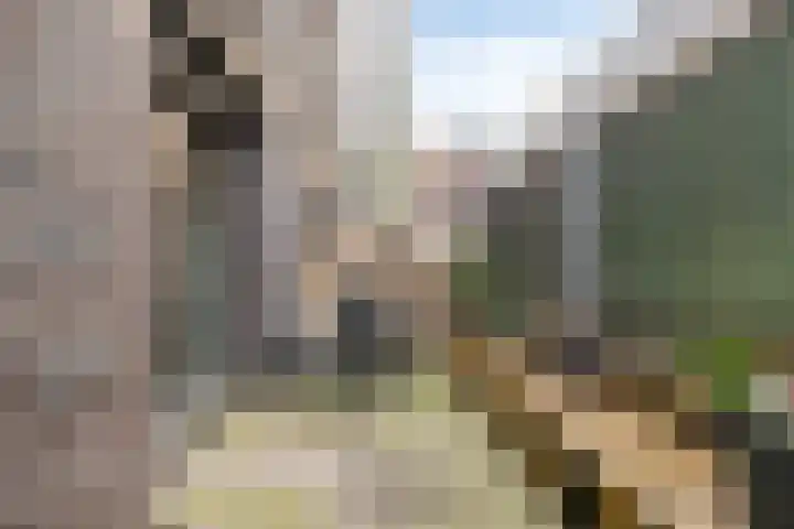 Helderseweg 9 D 1 Alkmaar thumbnail 20