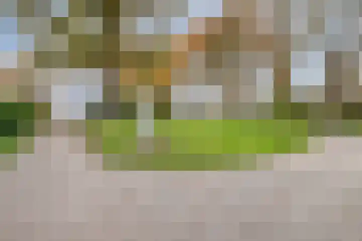 Helderseweg 9 D 1 Alkmaar thumbnail 27