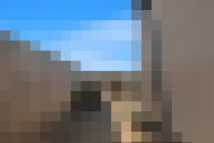 Helderseweg 9 D 3 Alkmaar thumbnail 25