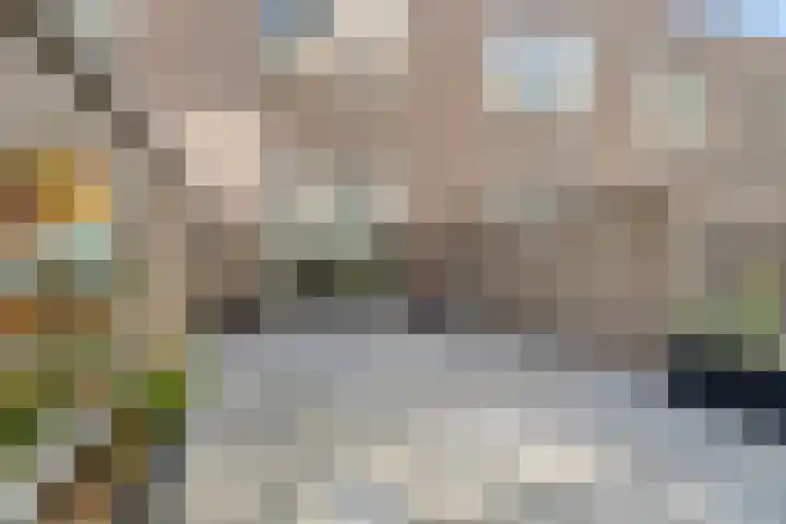Helen Suzmanhof 14 Rotterdam thumbnail 16