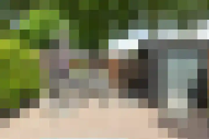 Helena erf 33 Capelle aan den IJssel thumbnail 14