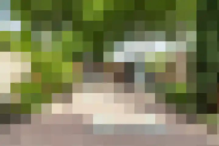 Helena erf 33 Capelle aan den IJssel thumbnail 4