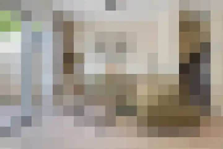 Helena erf 33 Capelle aan den IJssel thumbnail 5