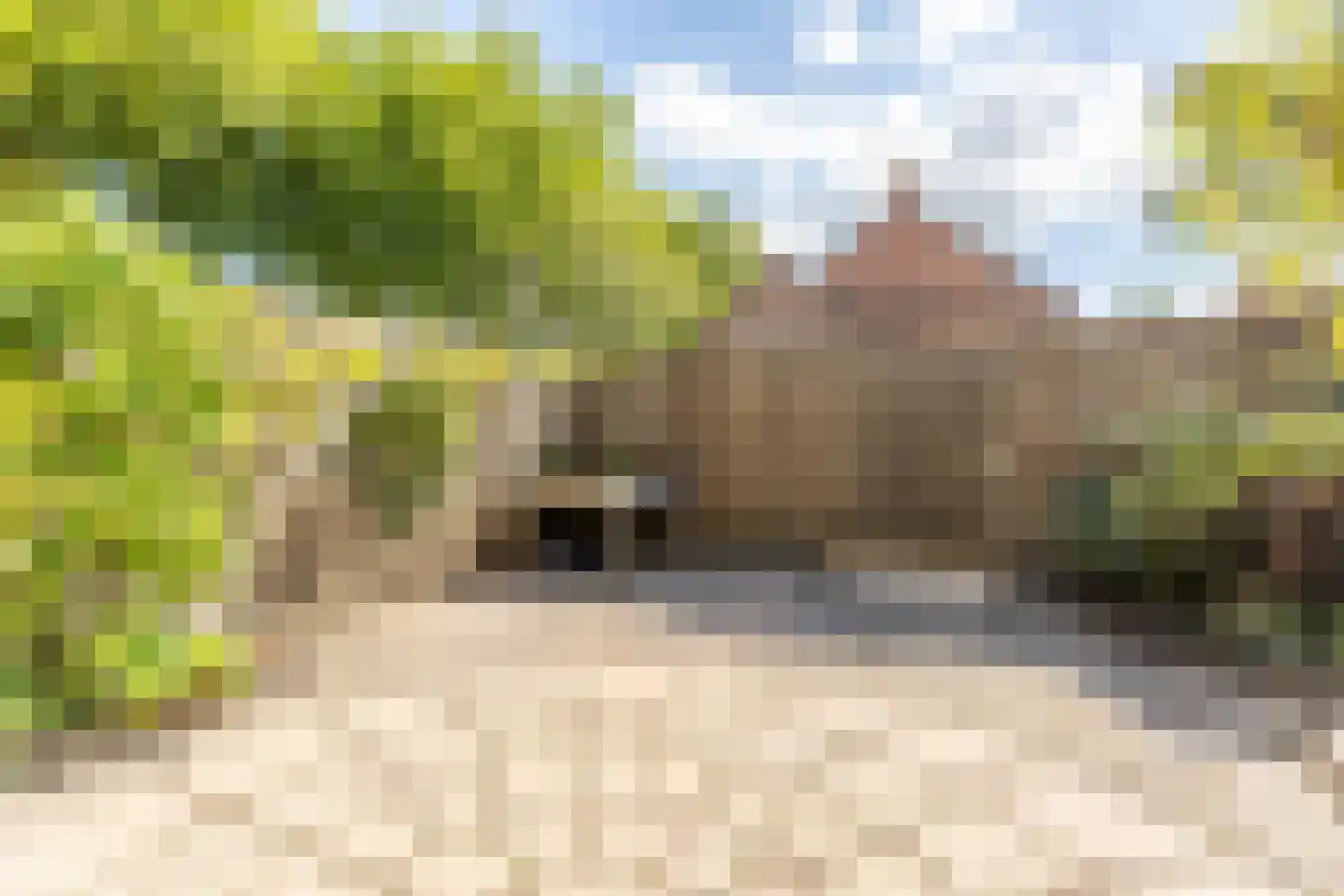 Helena erf 39 Capelle aan den IJssel thumbnail 16