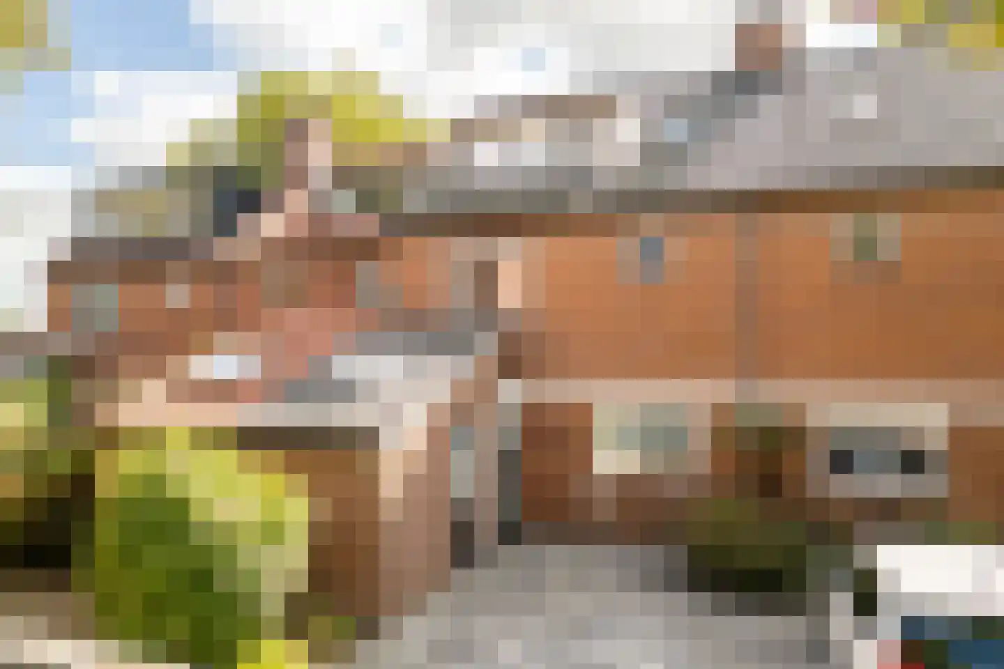Helena erf 39 Capelle aan den IJssel thumbnail 7